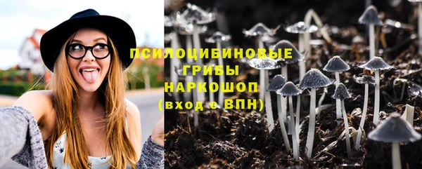 таблы Армянск